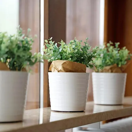 Apartman Schwarzwald Schönwalde